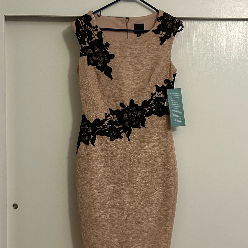 NWT Elegant Black and Pink Lace Dress